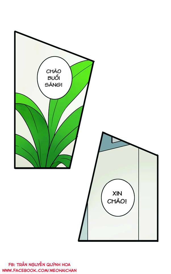 tình yêu! bắt đầu từ ngày hôm nay chapter 14 25