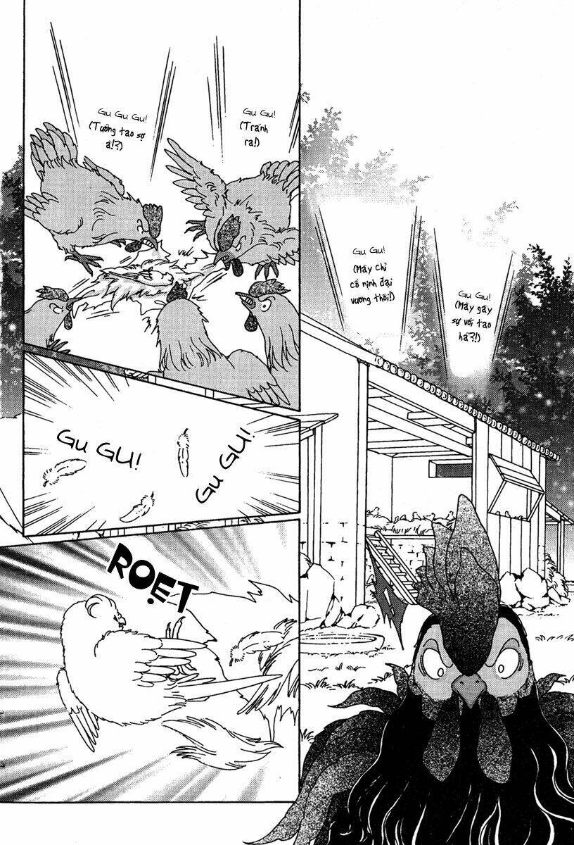 bird of youth chapter 6 11