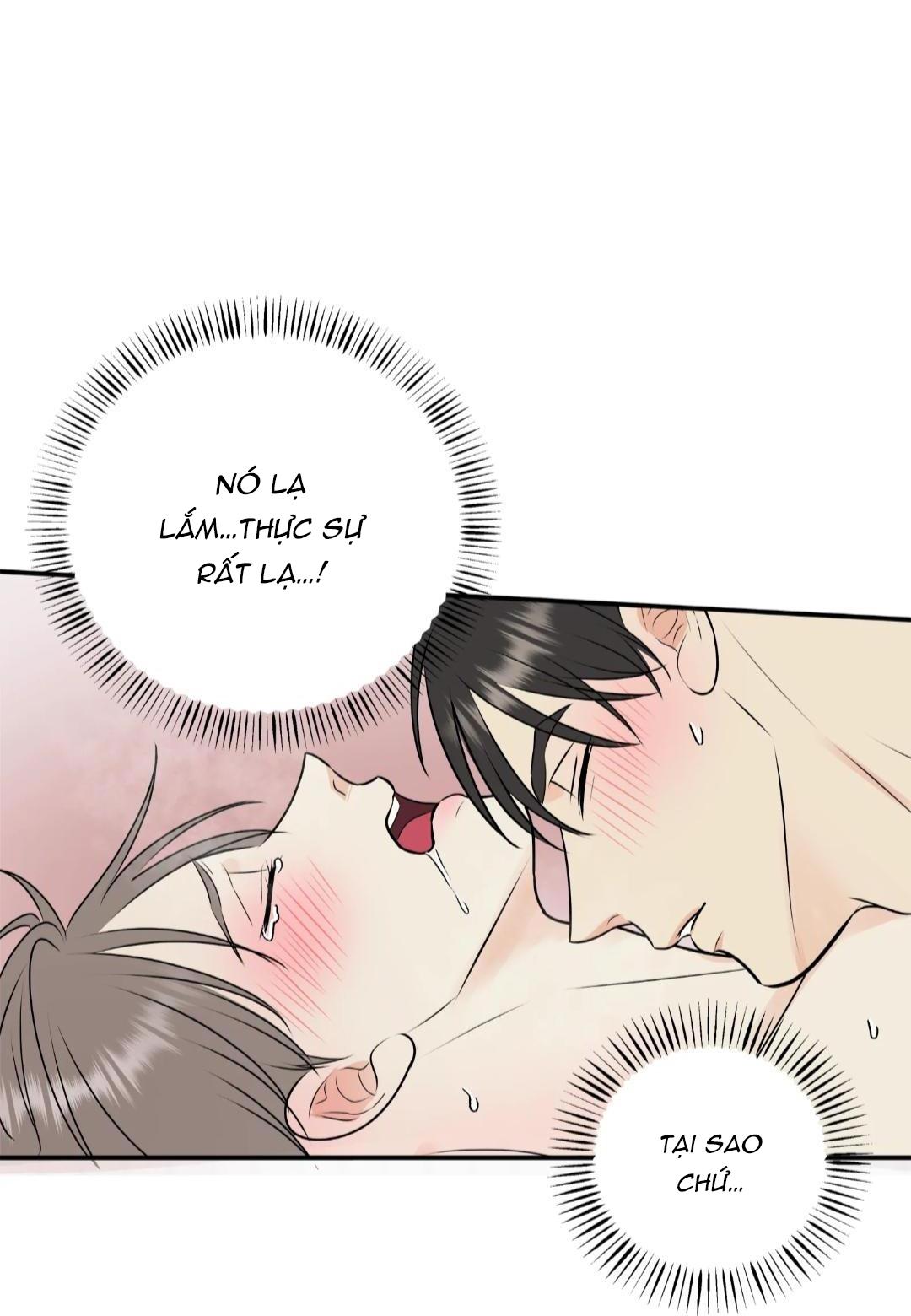 hạnh phúc trọn vẹn chapter 23 14