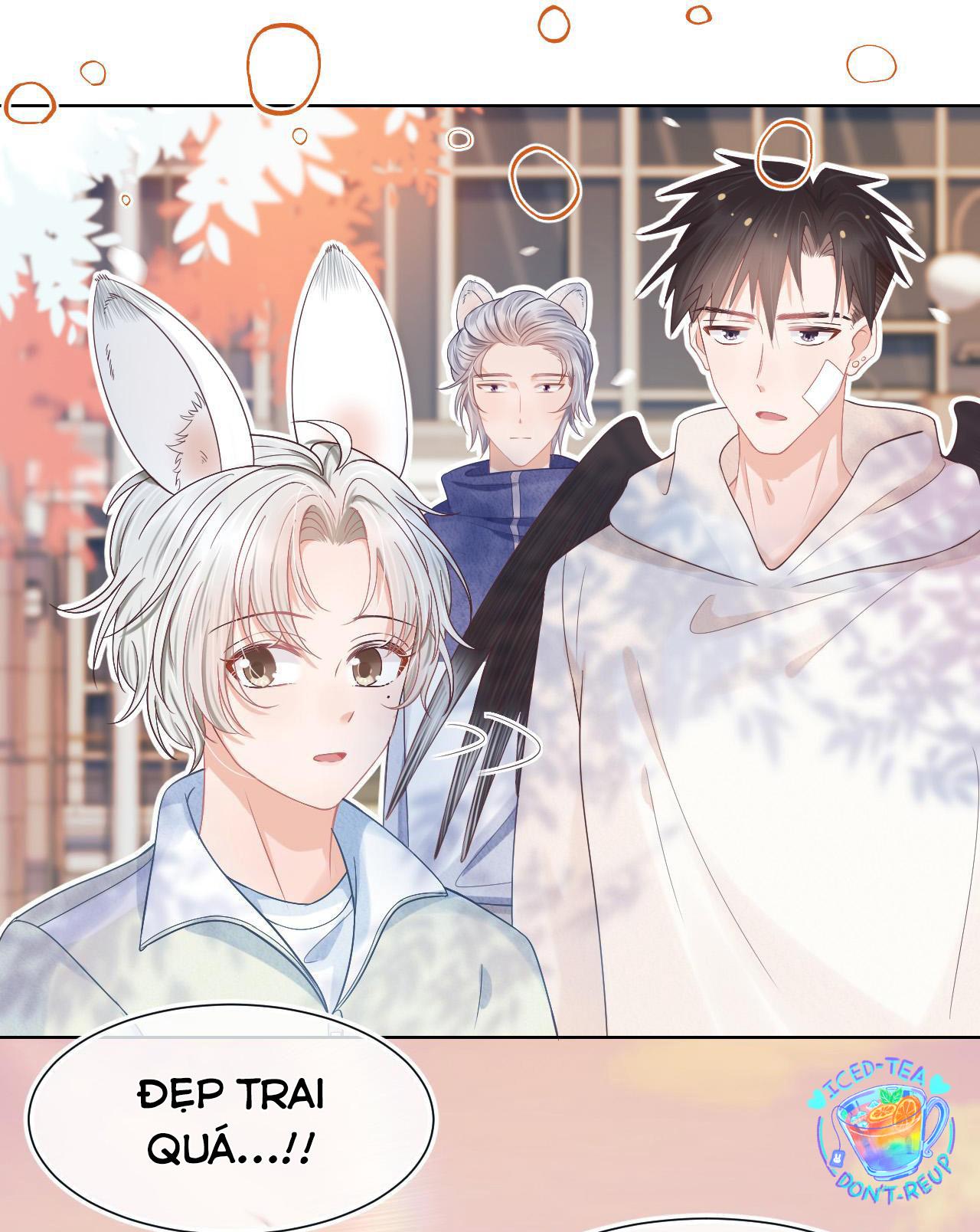 [ss2] một ngụm ăn cả thỏ con chapter 3 32