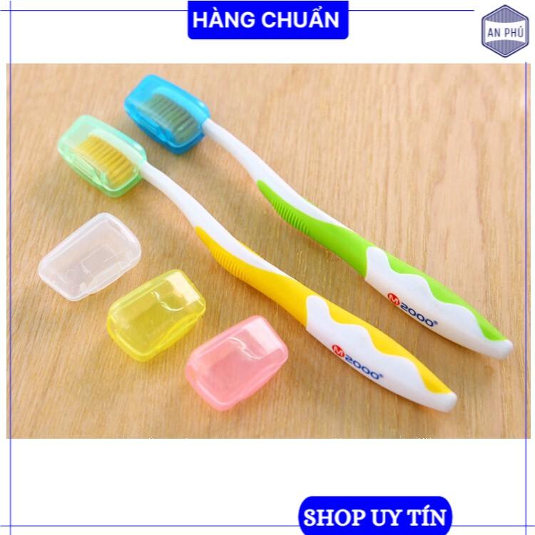 Hộp bọc đầu bàn chải đánh răng tiện lợi