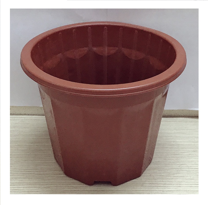 5 Chậu Nhựa Trồng Hoa, Cây Cảnh E230 CN