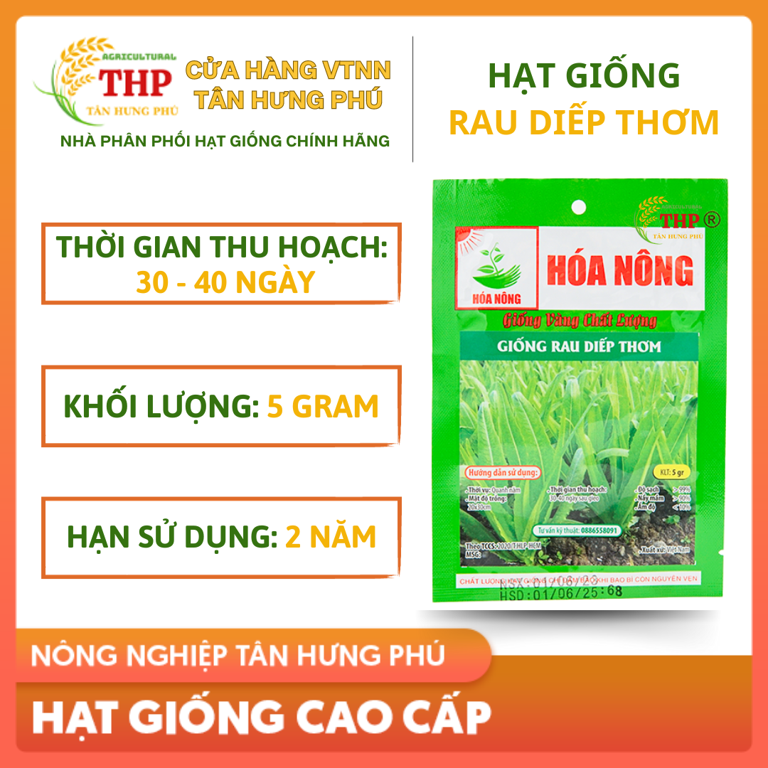 Hạt giống Rau Diếp Thơm | Hạt Giống | gói 5gr