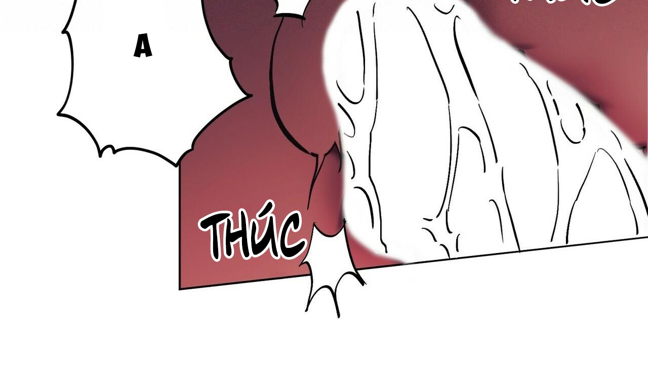 chàng dâu nhà họ kang chapter 23 52