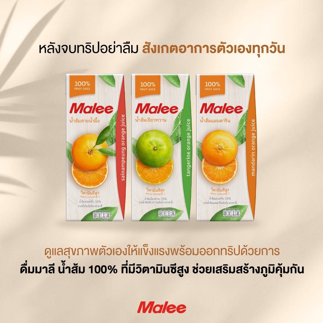 COMBO 3 Hộp Nước Ép Quýt Malee 200ml