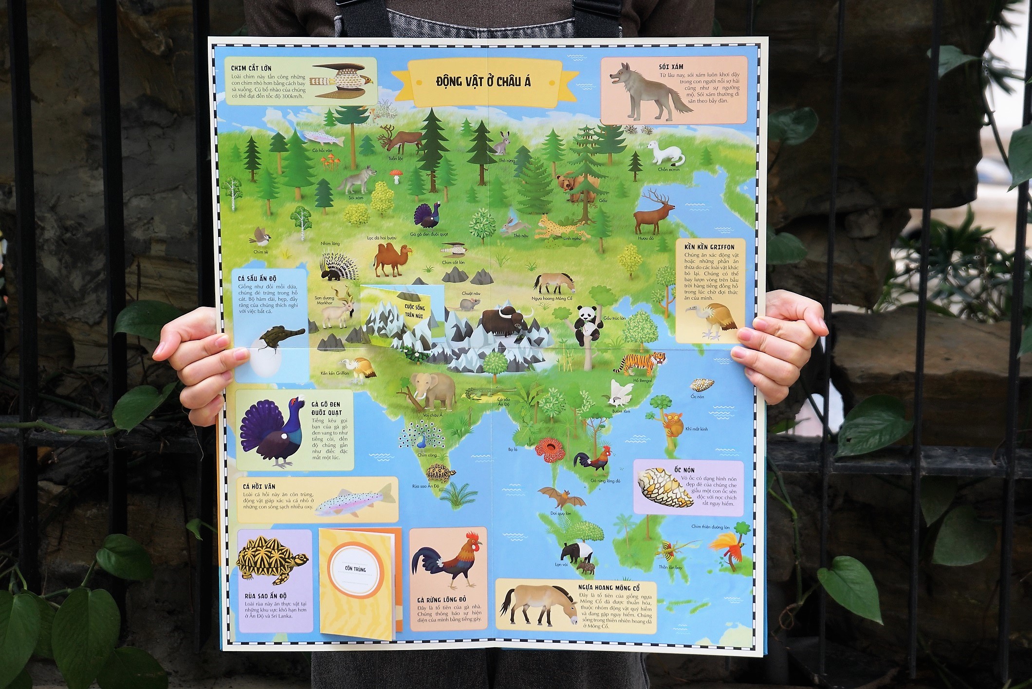 Sách Atlas Động Vật – Khám Phá Thế Giới Động Vật  – Đinh Tị