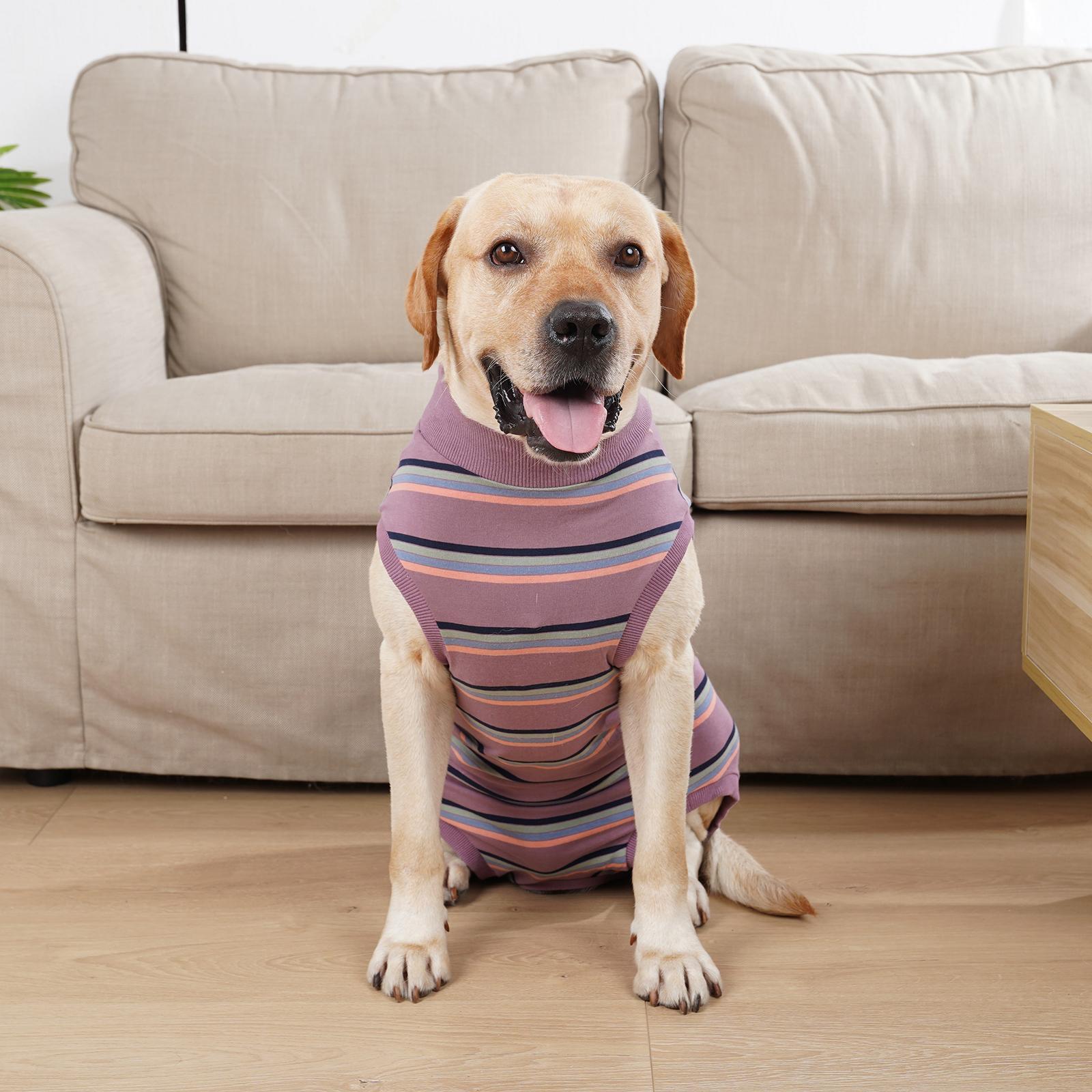 Pet Physiological Clothes Pet Supplies Breathable Nappy Jacket Dog Clothes