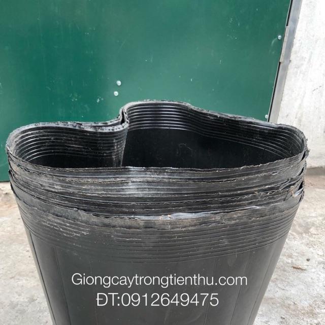 TÚI BẦU ƯƠM CÂY GIỐNG 33x40cm 10 cái