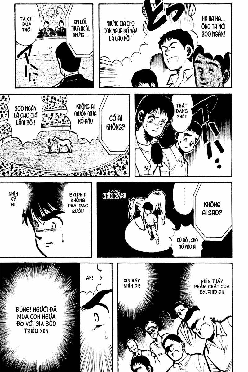 kaze no sylphid - phong mã silphid chapter 9 7