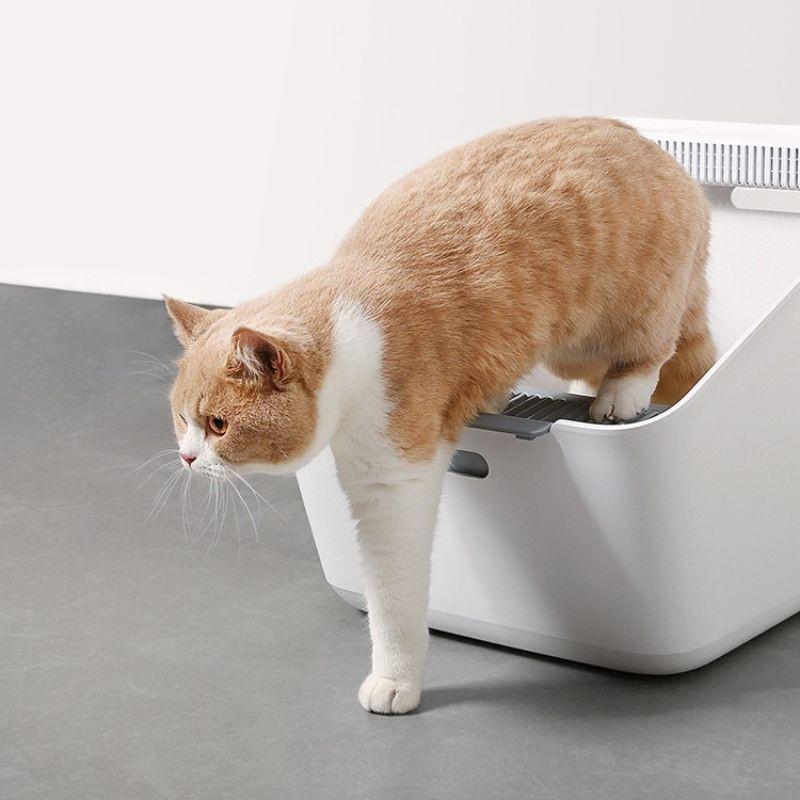 Hộp Khay Vệ Sinh Khử Mùi - Petkit Pura Cat Litter Box cho thú cưng