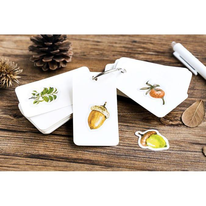 Bộ 46 Sticker Cây Nấm Hàn Quốc dán trang trí E59