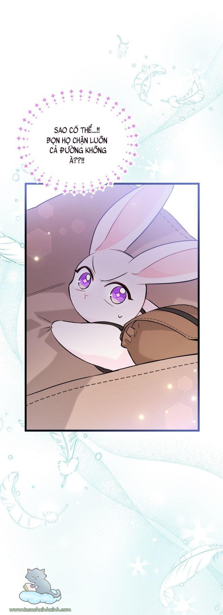 quan hệ cộng sinh giữa báo đen và thỏ trắng chapter 60 33