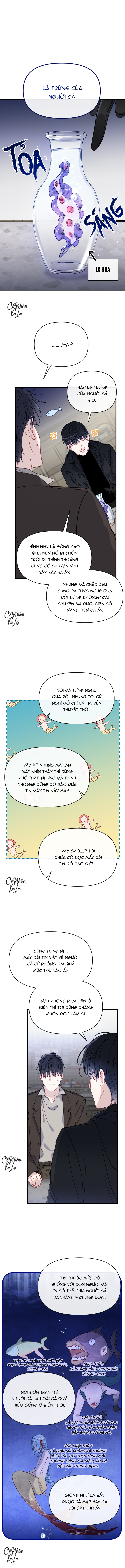 chàng tiên cá trên cạn chapter 1 8