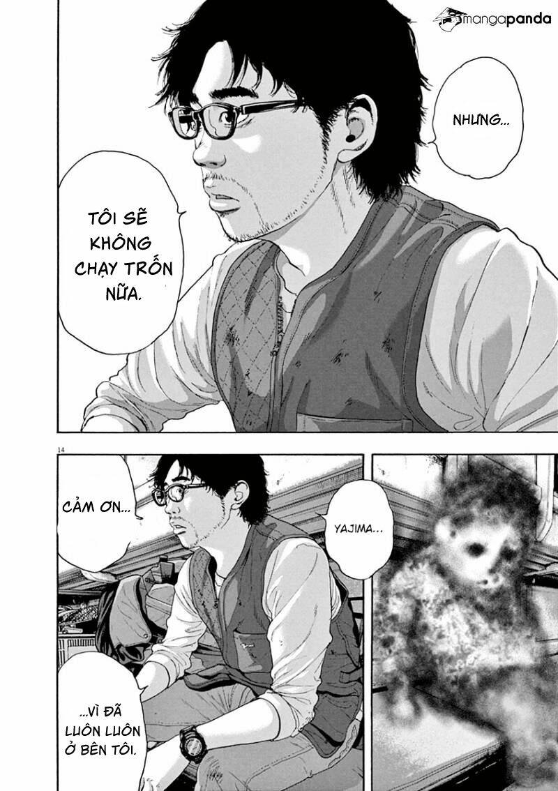 tôi là người hùng chapter 229 17