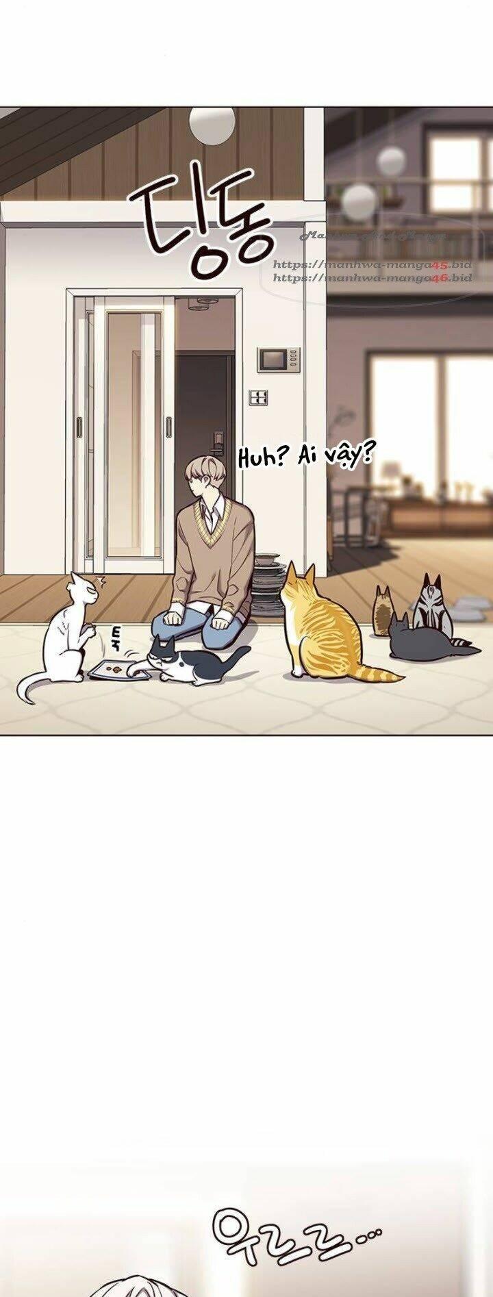 biến thân thành mèo chapter 143 37