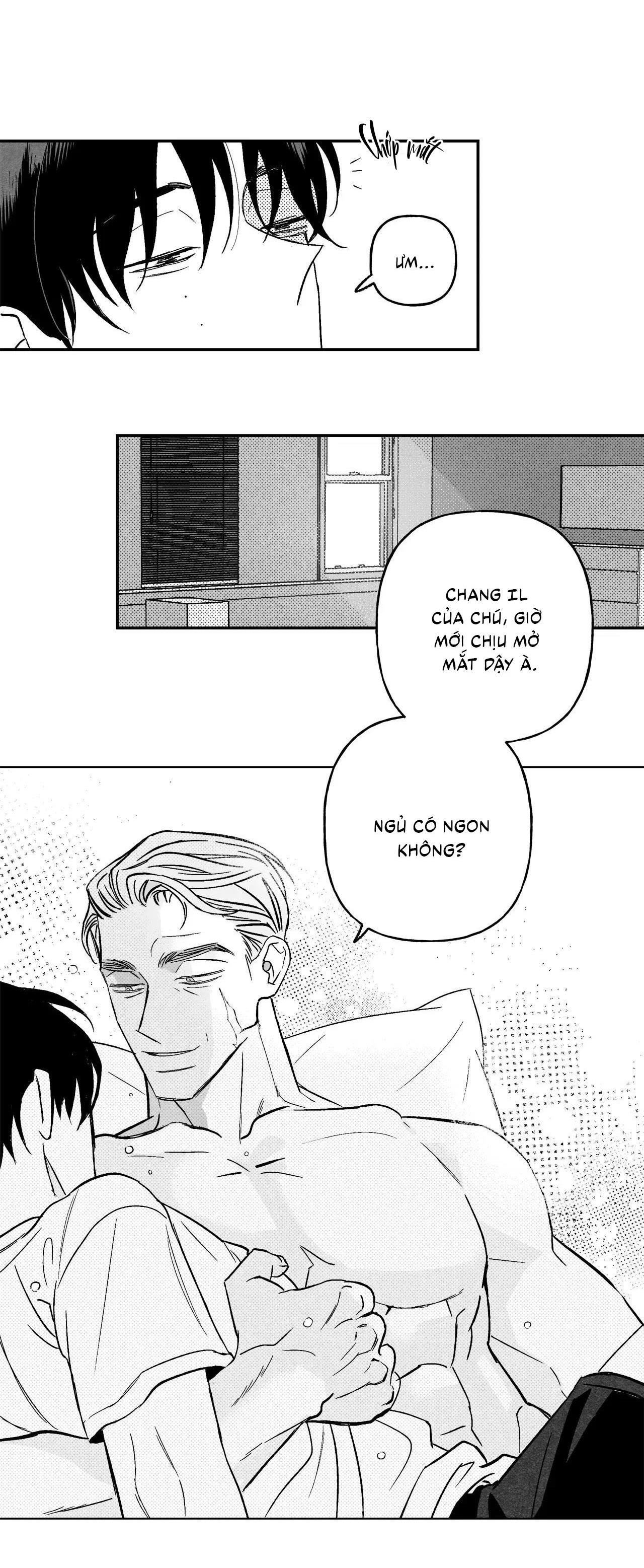 (cbunu) sự kết hợp hoàn hảo chapter 41 6