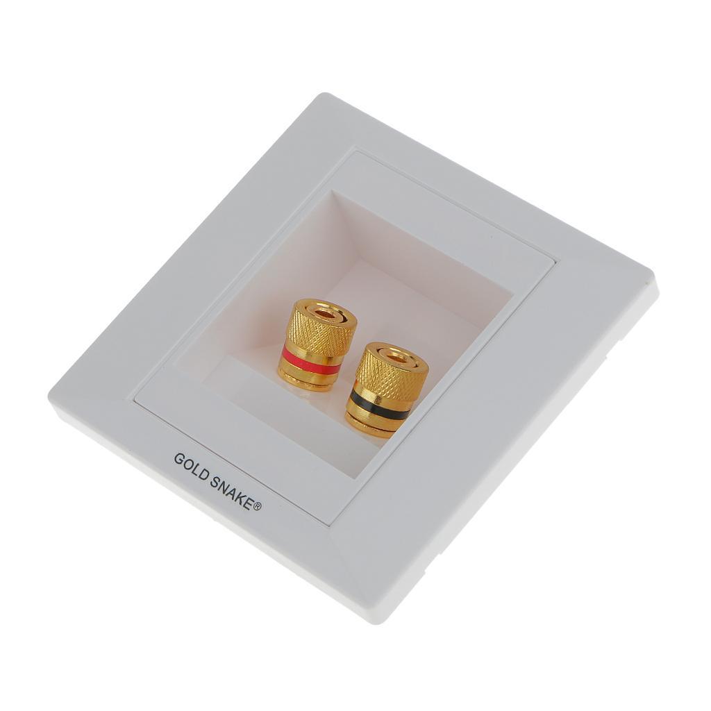 White Gold  2 Binding Post Audio  Stereo Wall Plate Panel Connector