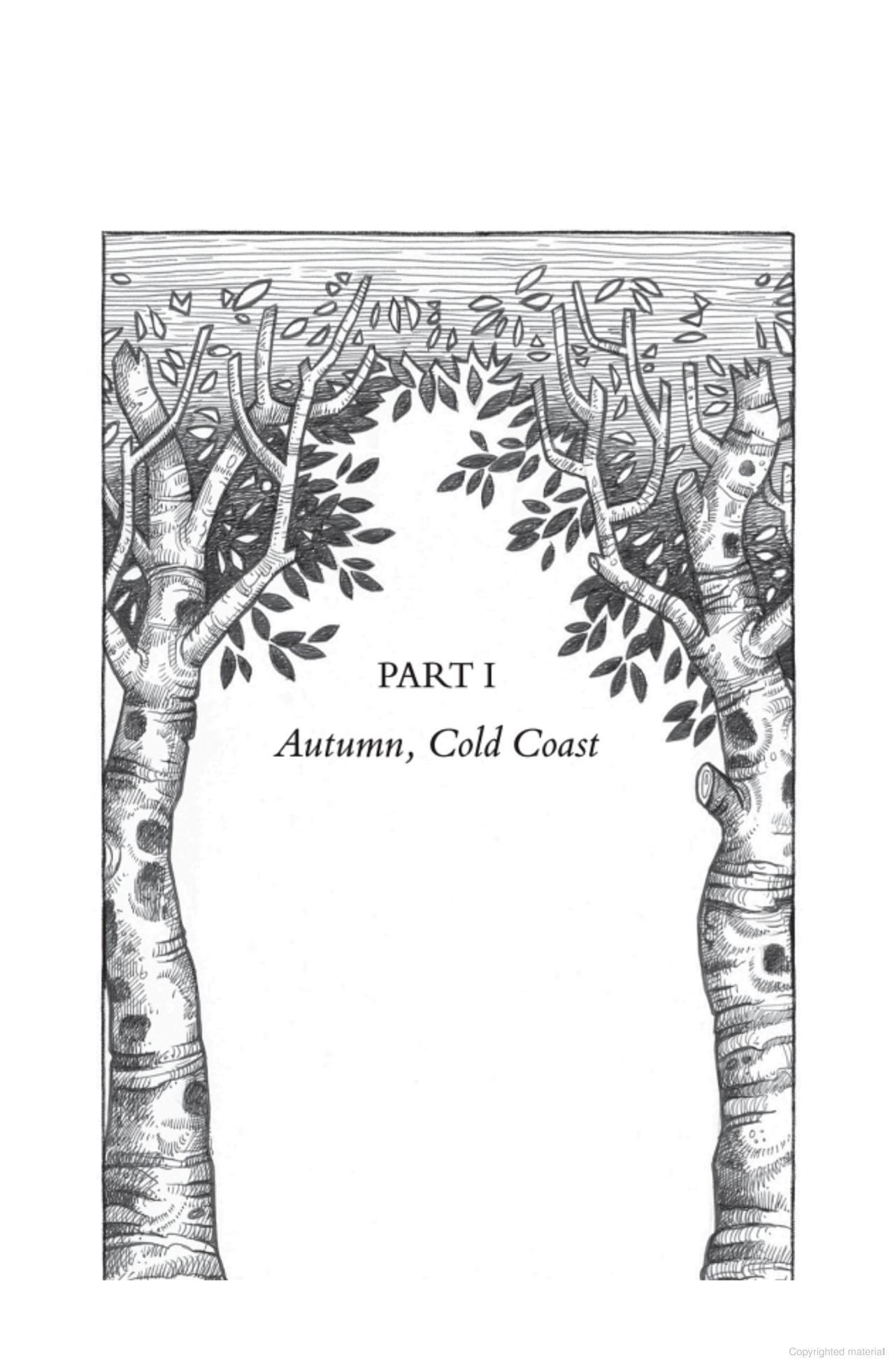 Sách ngoại văn: Wolf King