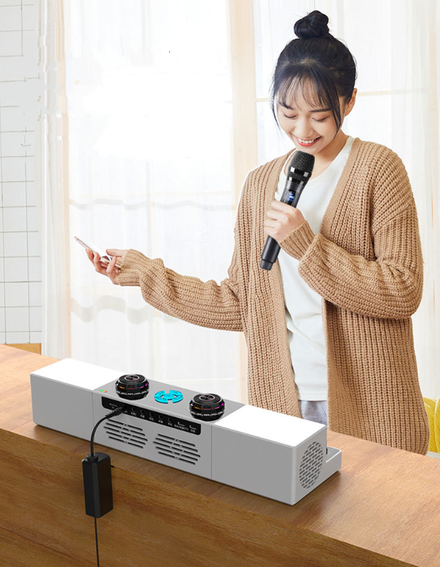 Bộ Karaoke di động có mixer KTV PlayTech (gồm 2 mic) - thay đổi âm thanh tùy ý