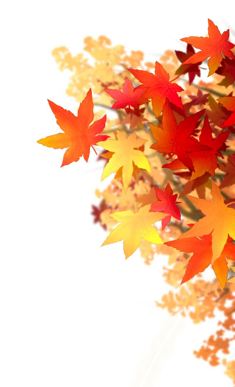 nữ hầu muốn đình công chapter 13.2 25