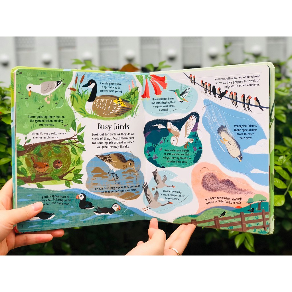 Sách: Khám phá thiên nhiên cho trẻ từ 5 tuổi - Look inside Nature