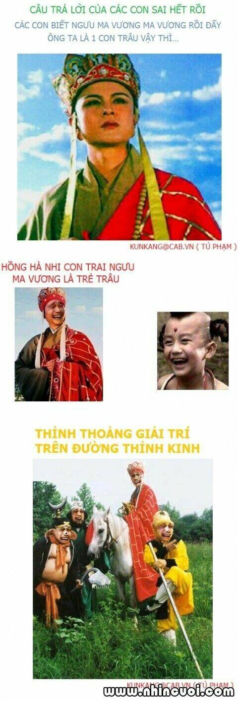 hình ảnh hài hước new chapter 11 22