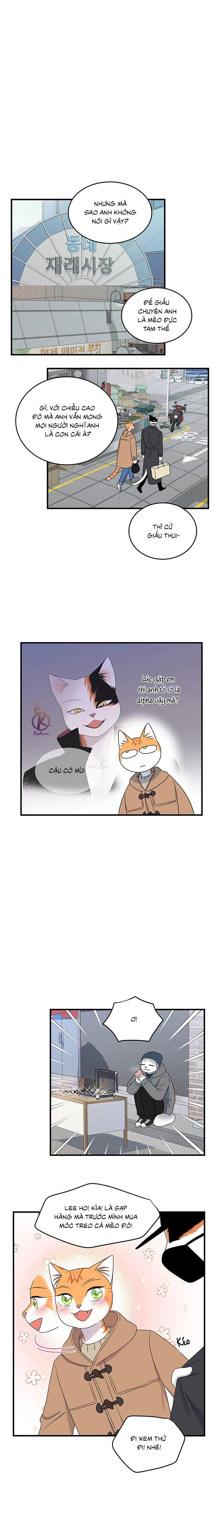 dự án xanh chapter 53 11