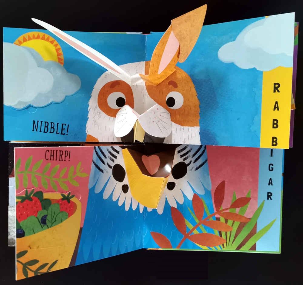 Sách ngoại văn: Flip Flap Snap - Pets