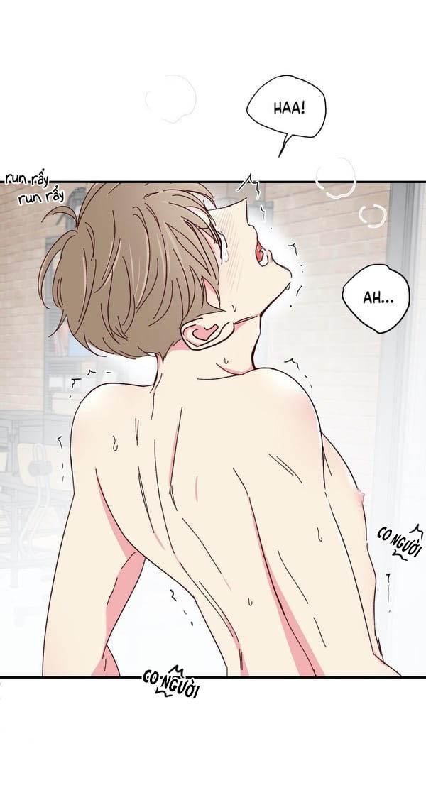 món tráng miệng của sếp tổng chapter 47 35