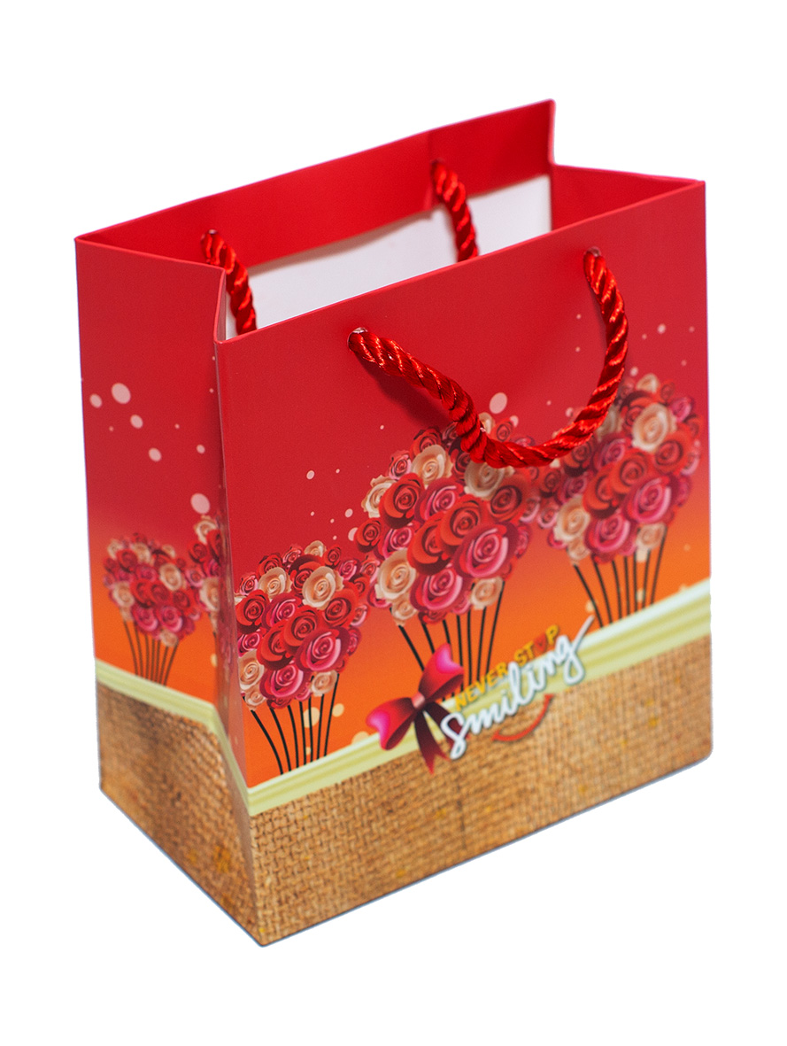 TÚI DÂY NHỎ TT101 - 15 X 13 X 7.5 CM - NGẪU NHIÊN