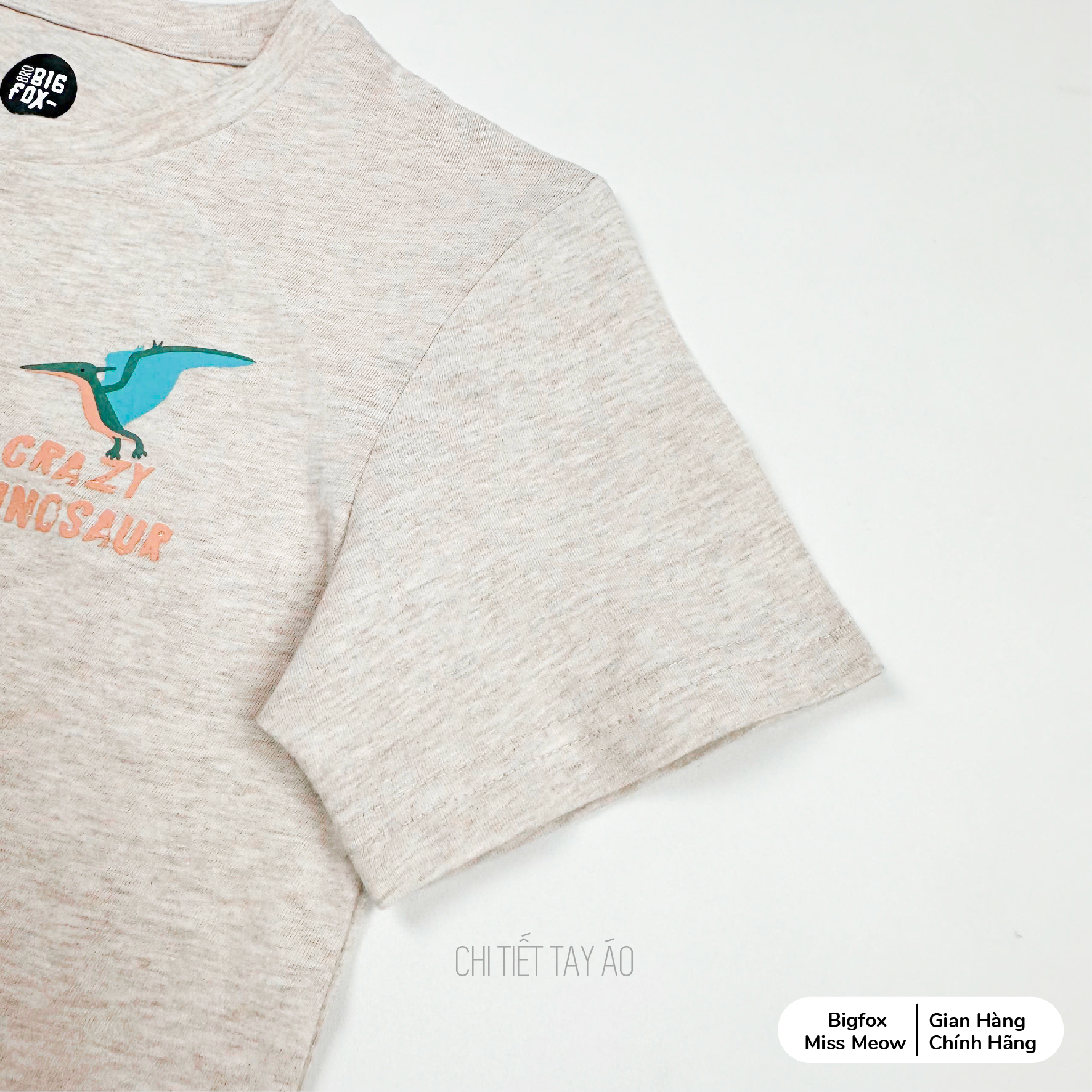 Bộ cộc tay bé trai mùa hè Bigfox Miss Meow vải cotton in khủng long size đại 3,9,11 tuổi 30kg 40kg