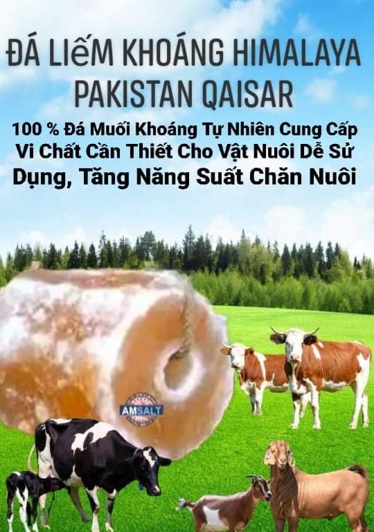 Đá liếm tự nhiên treo cho gia xúc viên từ 2 đến 4kg