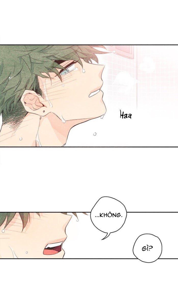 bắp cải bên dưới củ cải chapter 3 49