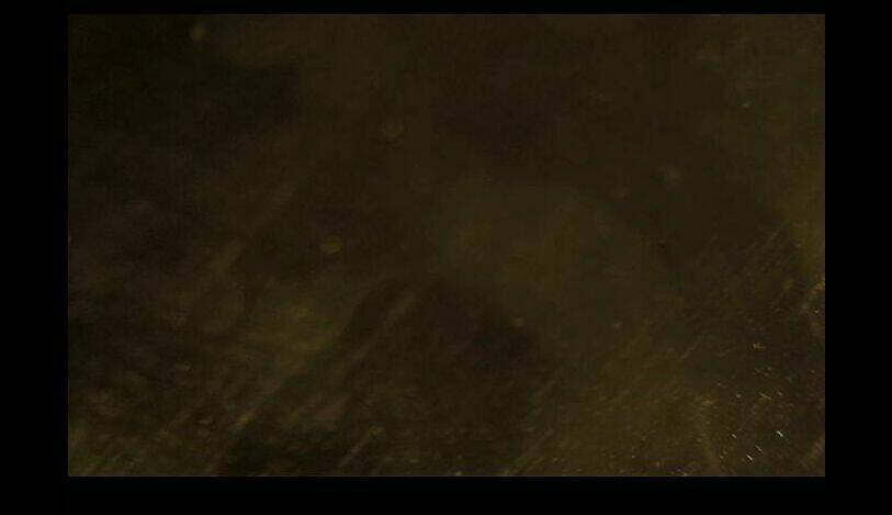 shriek-2 chapter 10 1