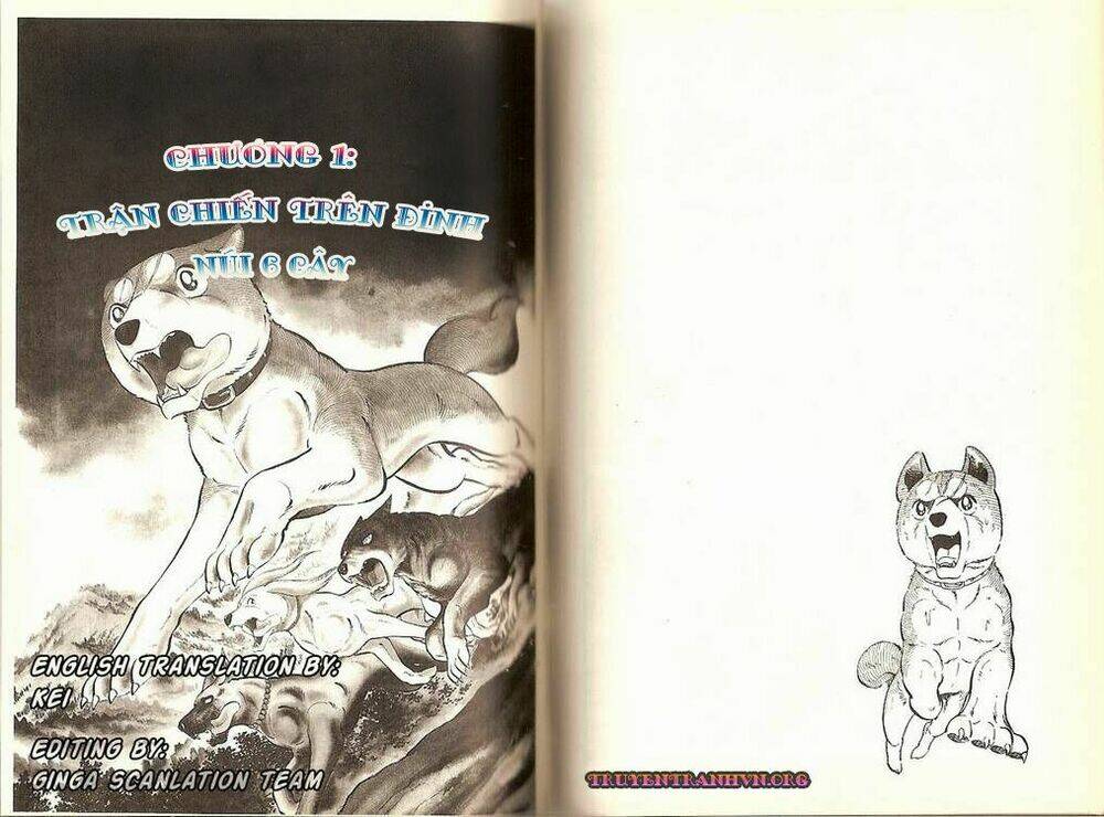 chú chó có nghĩa - ginga nagareboshi gin chapter 15 1
