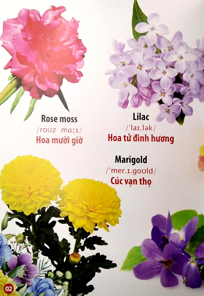 Sách-THƯ VIỆN HÌNH ẢNH SONG NGỮ ĐẦU TIÊN CỦA BÉ - HOA - RAU - CỦ - QUẢ_VT