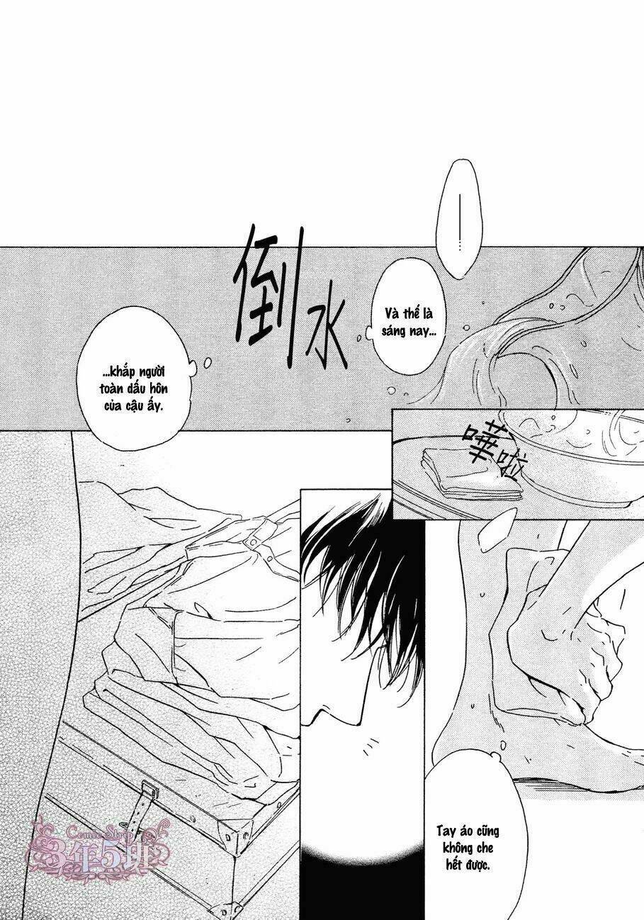 bình minh u sầu chapter 33 46