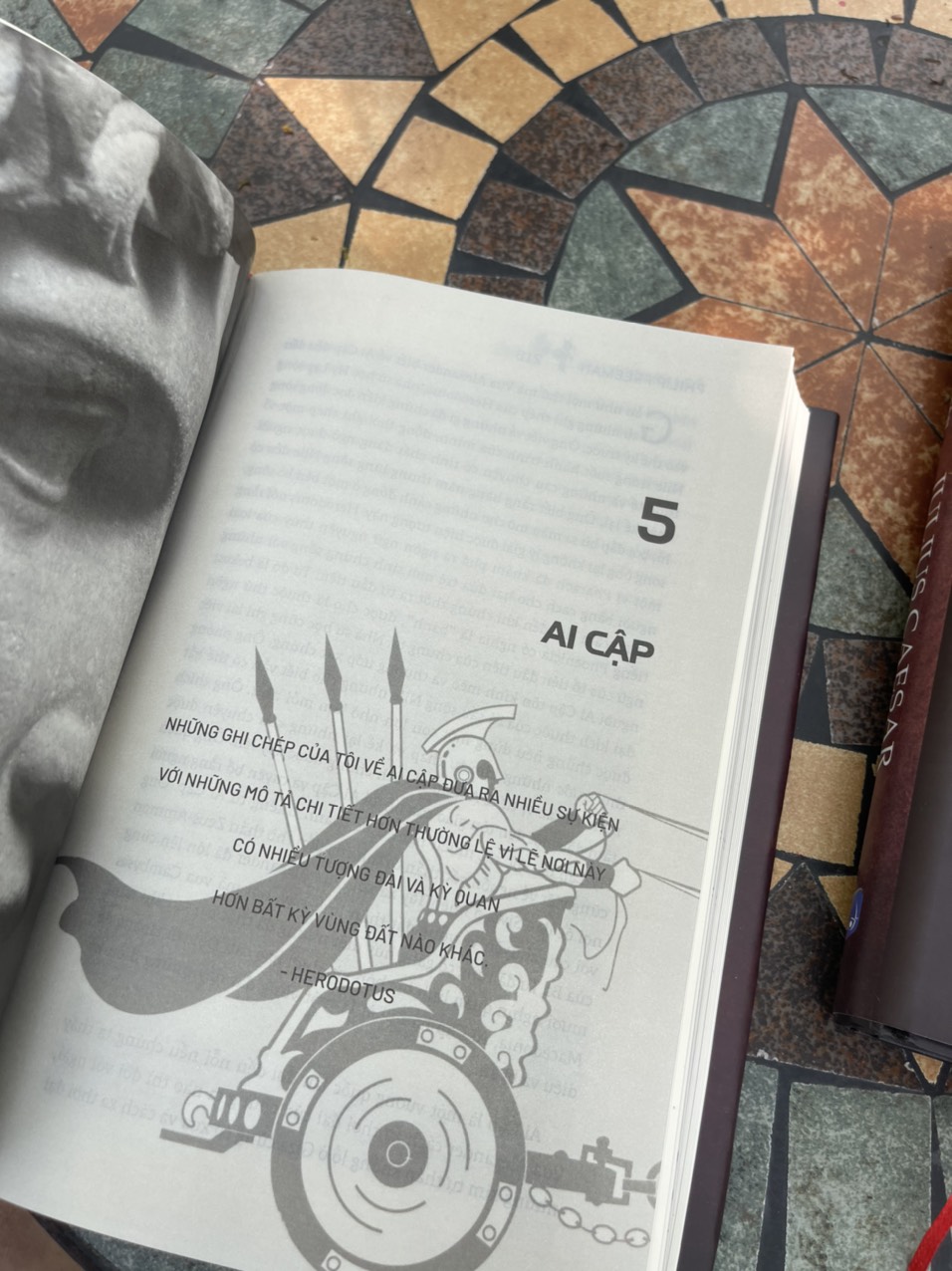 (Combo 2c - Bìa cứng áo ôm) ALEXANDER ĐẠI ĐẾ - Huyền thoại xứ Macedonia – JULIUS CAESAR - Nhà độc tài huyền thoại của La Mã - Philip Freeman - Bách Việt Book - NXB Dân trí