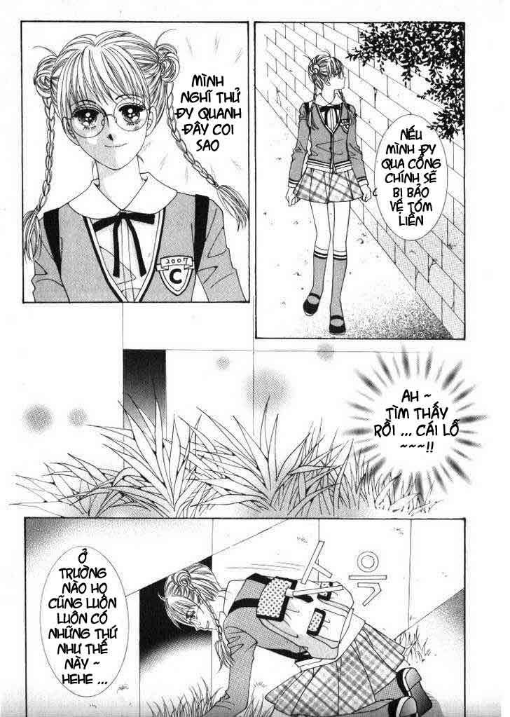 hoa hồng tặng anh chapter 22 43