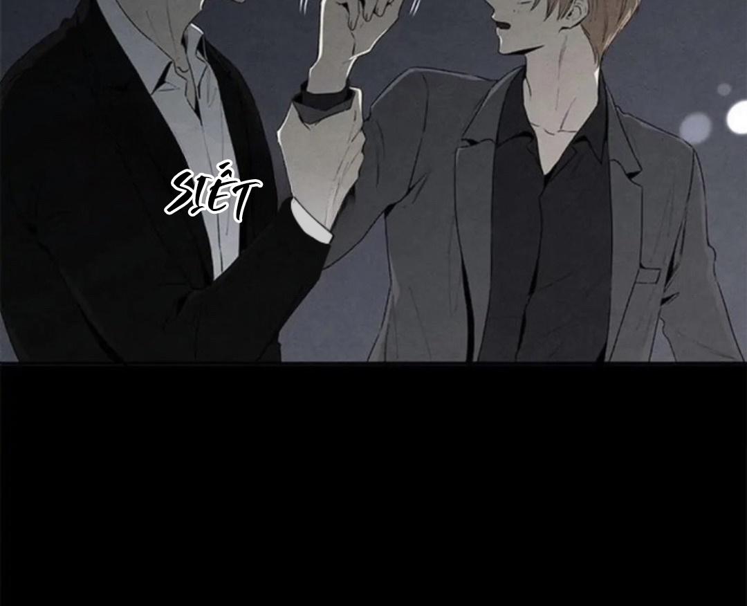 bona sort chapter 36 17