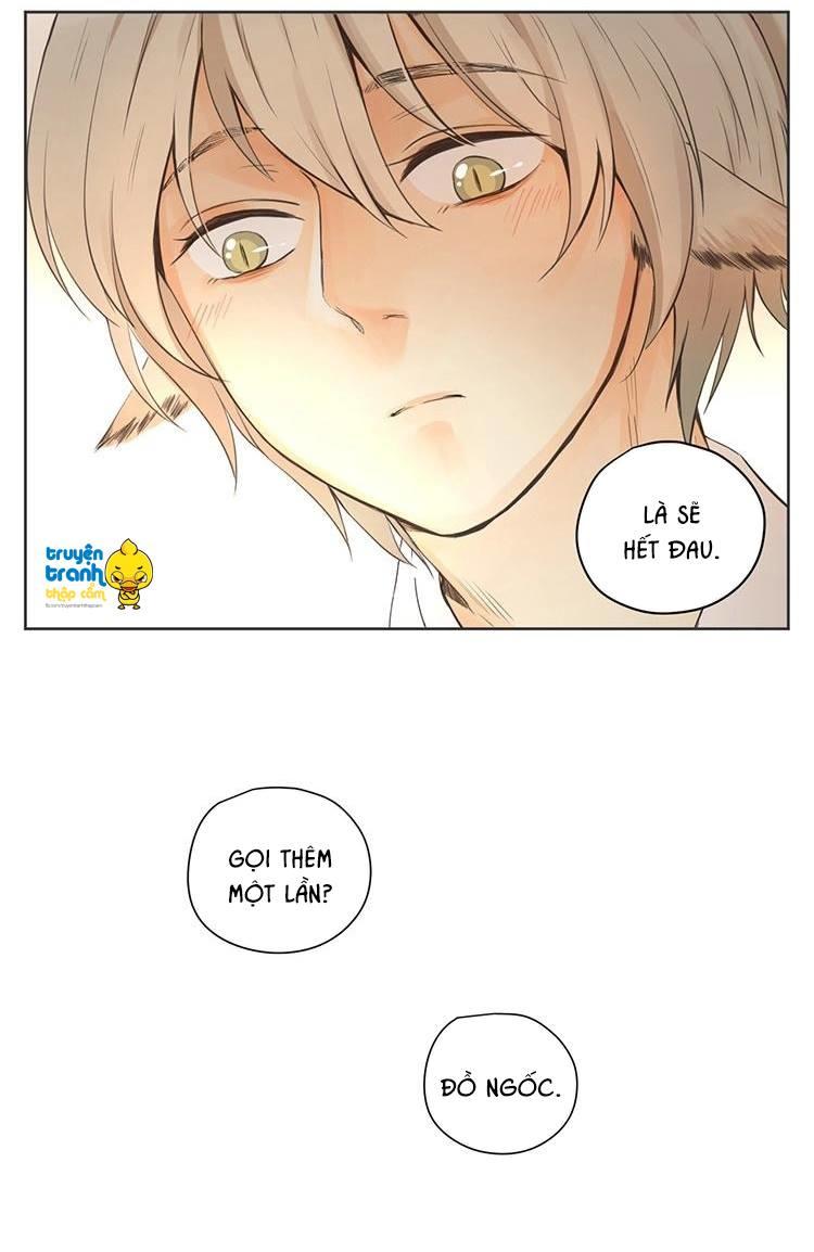 cứu mạng ! loài mèo thống trị thế giới rồi ! chapter 29 21