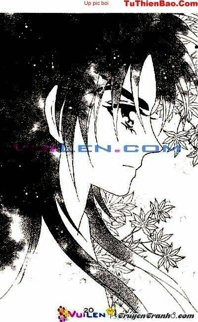 đóa hoa yêu kiều chapter 9 21