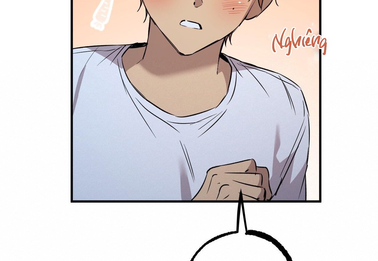 những chú thỏ của hapypy chapter 60 110