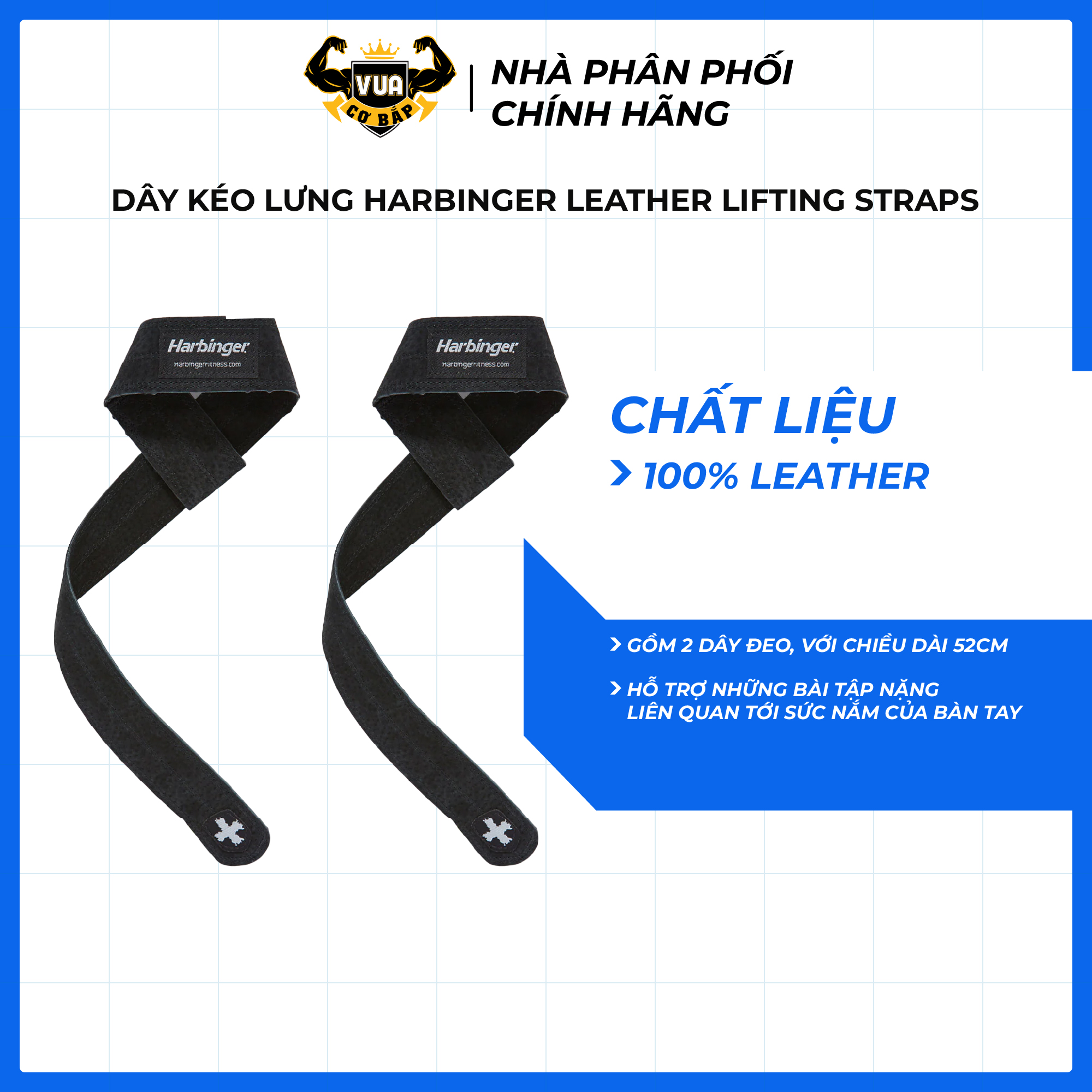 Dây Kéo Lưng Tập Gym Harbinger Leather