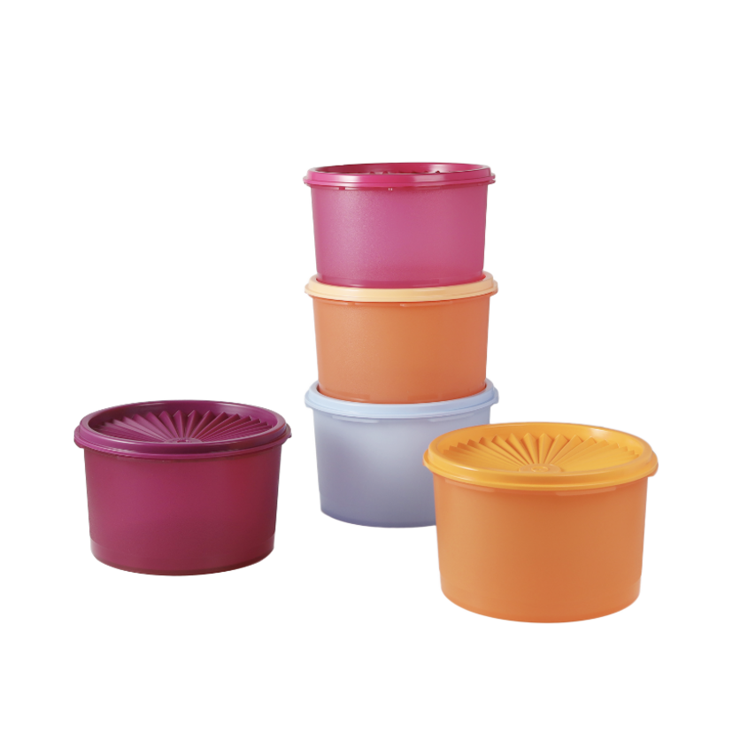 BỘ HỘP BẢO QUẢN THỰC PHẨM TUPPERWARE MIDI DECO (5)