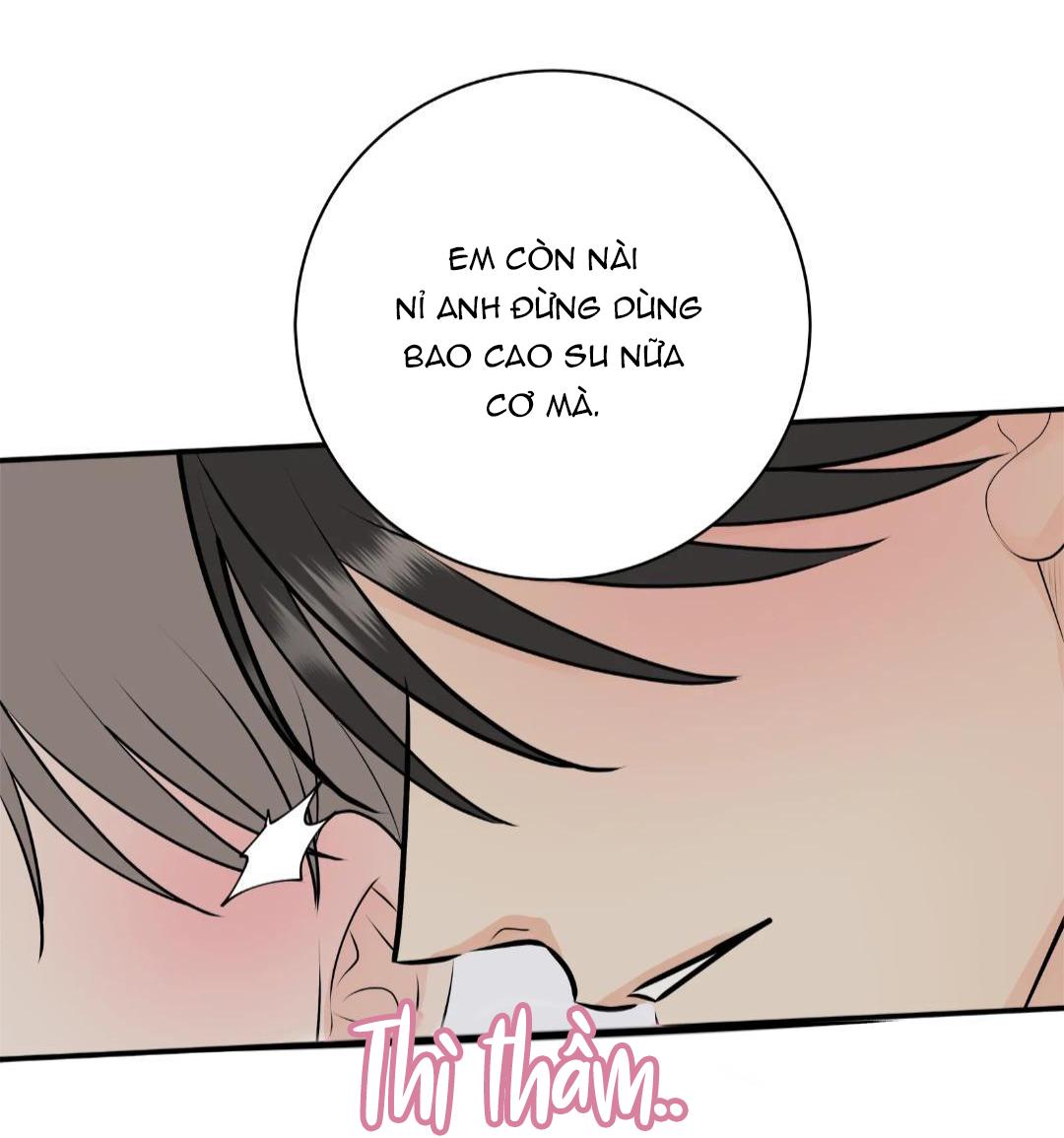 hạnh phúc trọn vẹn chapter 23 49