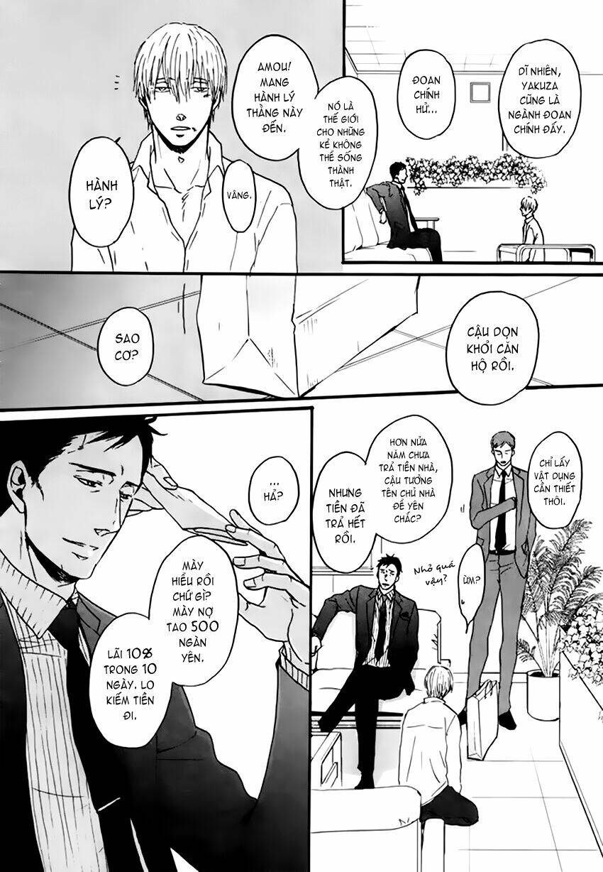 saezuru tori wa habatakanai chapter 10 10