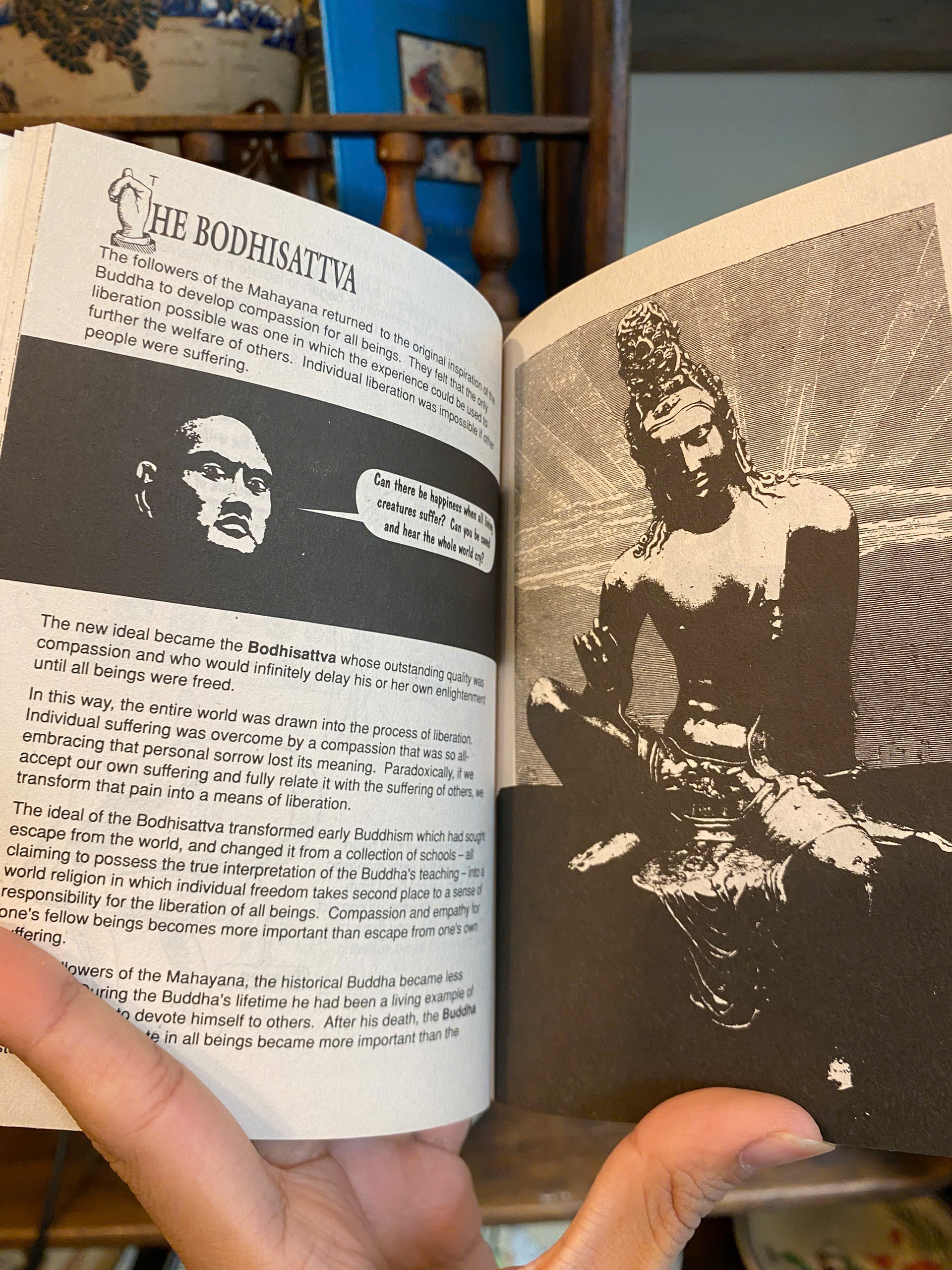 Sách - Introducing Buddha: A Graphic Guide by Jane Hope | Buddhism Nonfiction / Ngoại văn Nhập khẩu