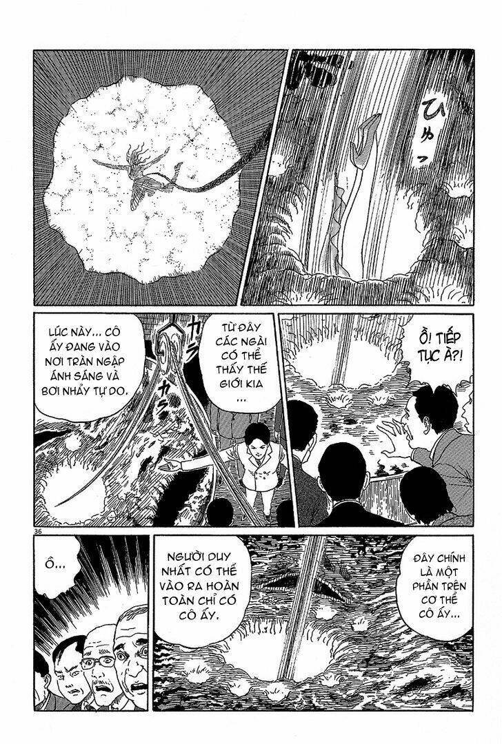 black paradox chapter 5 35