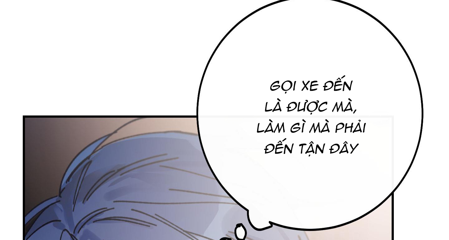 lãng mạn giả dối chapter 1 244